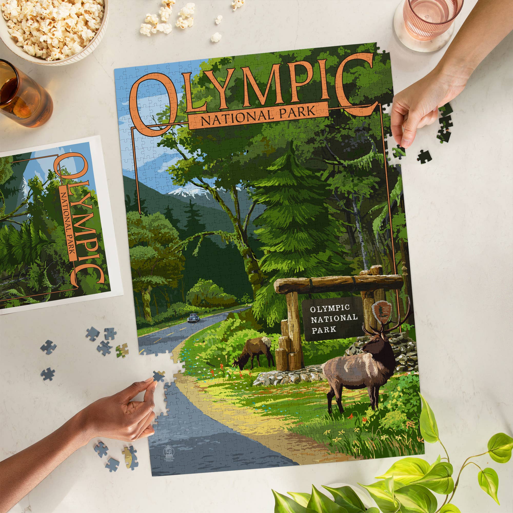1000 PIECE PUZZLE Olympic National Park, Washington Elk