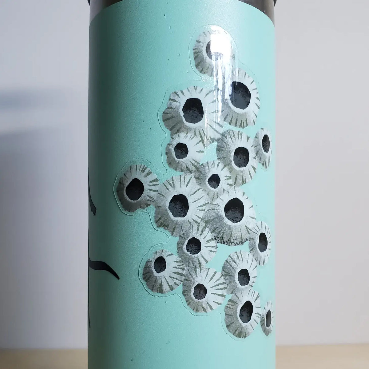 Barnacle Clear Vinyl Sticker