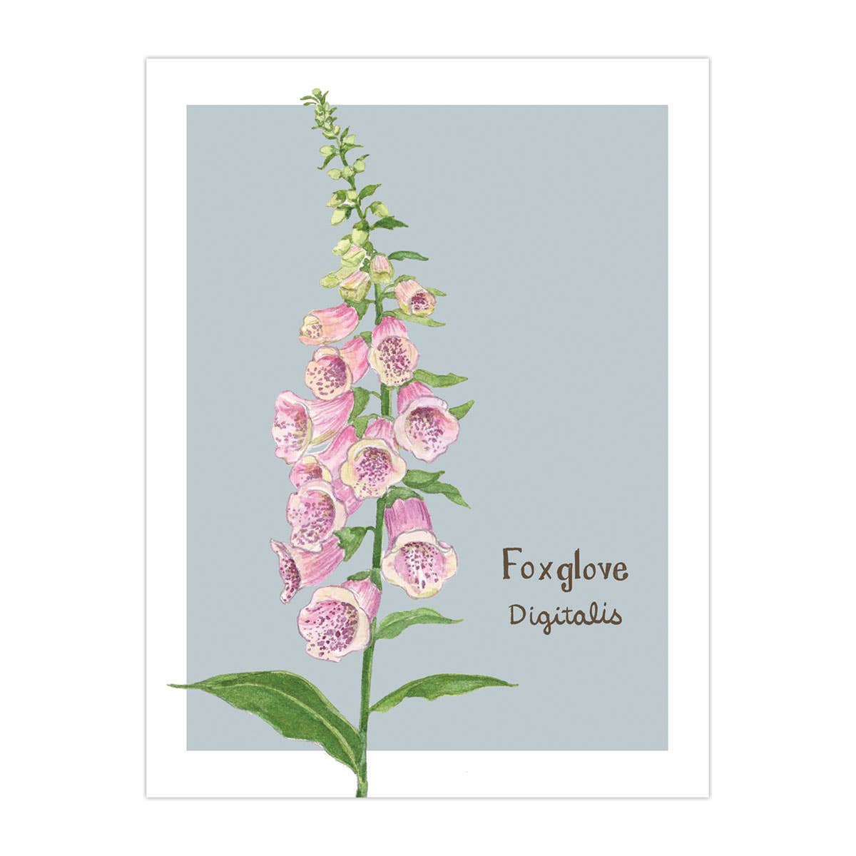 Foxglove Card - Botanical Floral Everyday Greeting Card