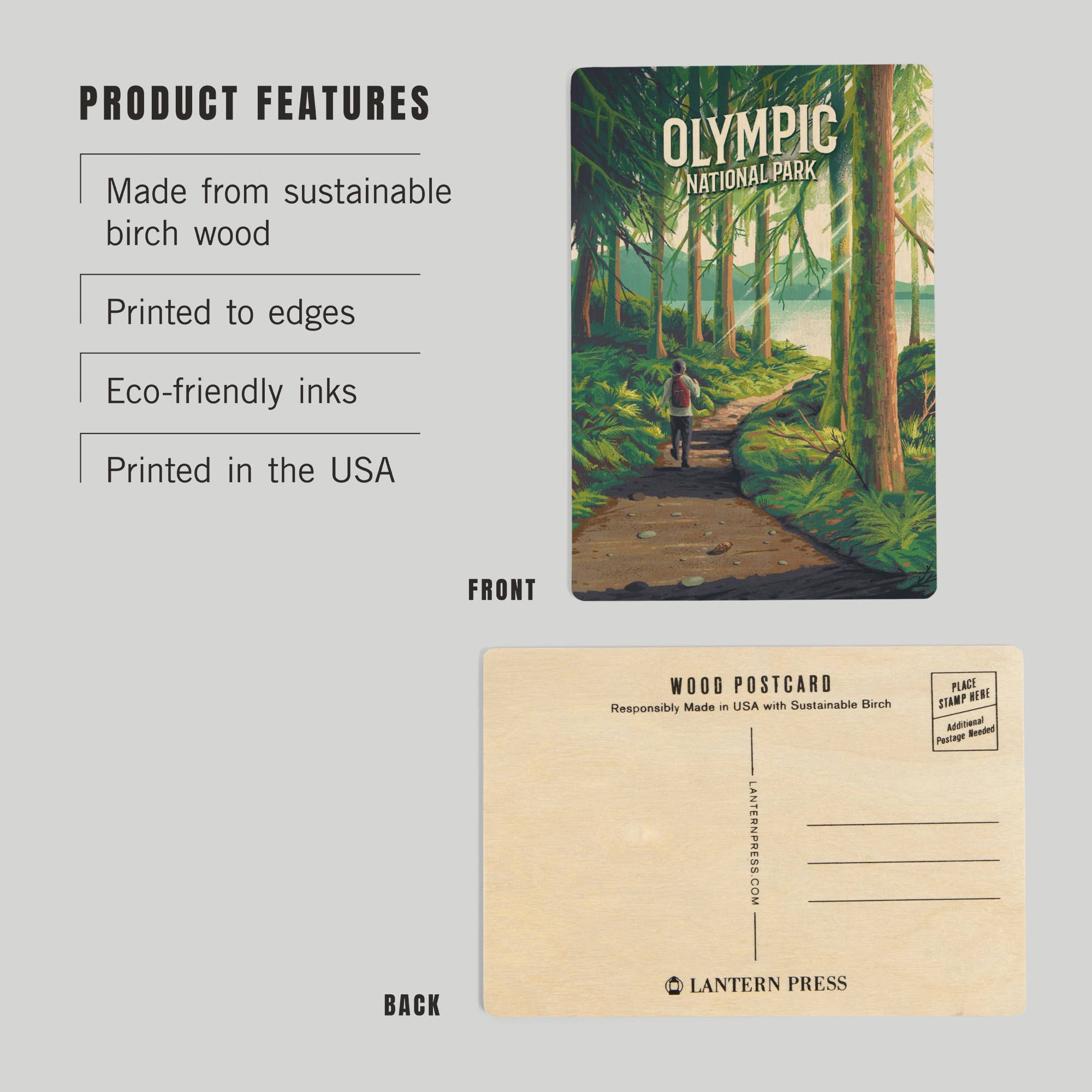 WOOD POSTCARD Olympic National Park, Walk in the Woods