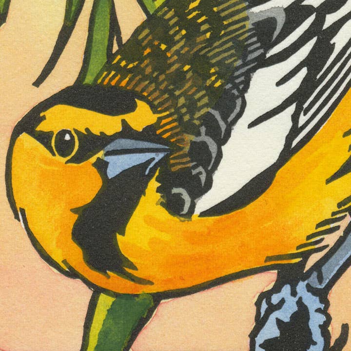 Bullock's Oriole Card: Individual