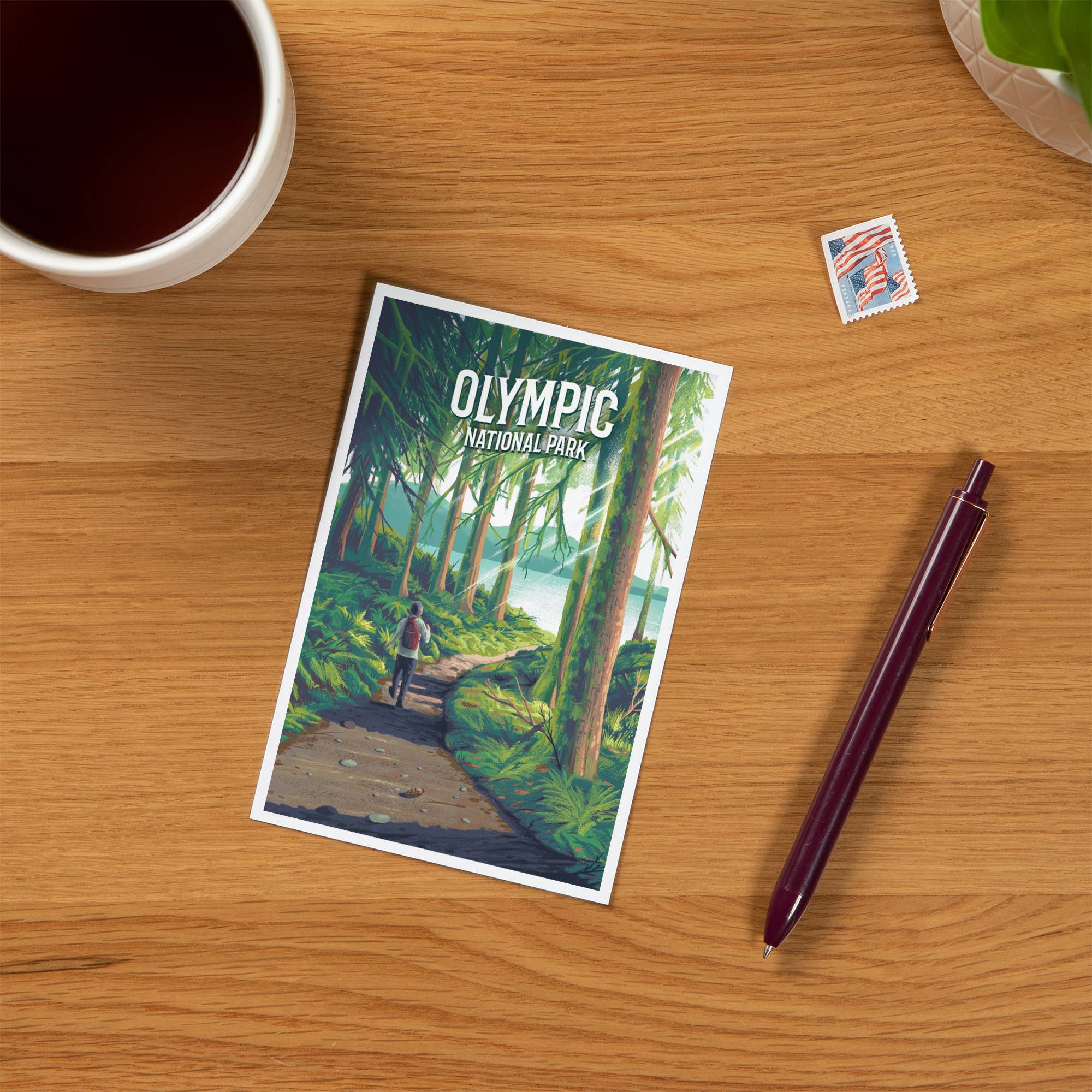 Olympic National Park, Walk in the Woods