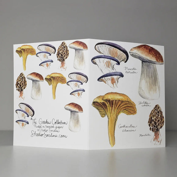 Studio Sardine:Watercolor Mushrooms A2 Size Notecards, Blank Greeting Cards