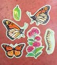 Monarch Sticker Pack (Set of 6)
