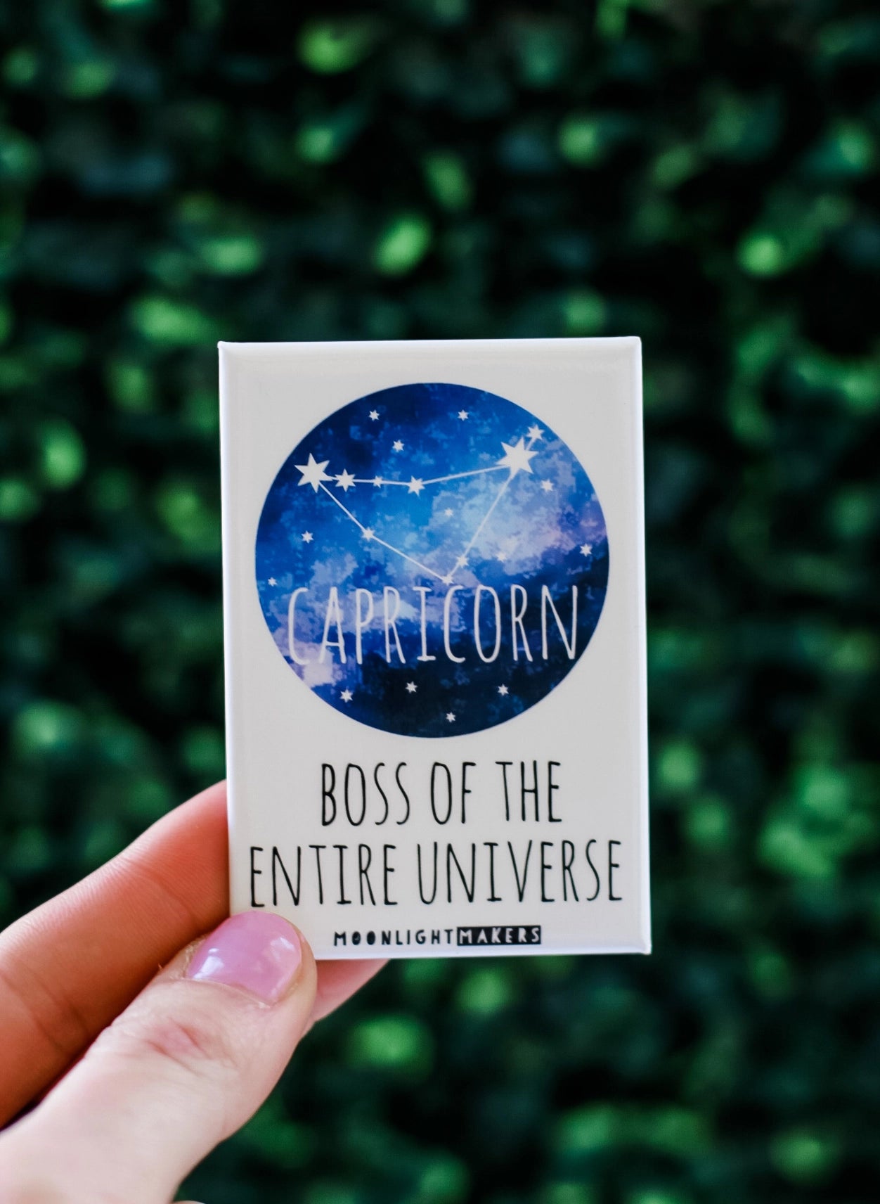 Capricorn Magnet