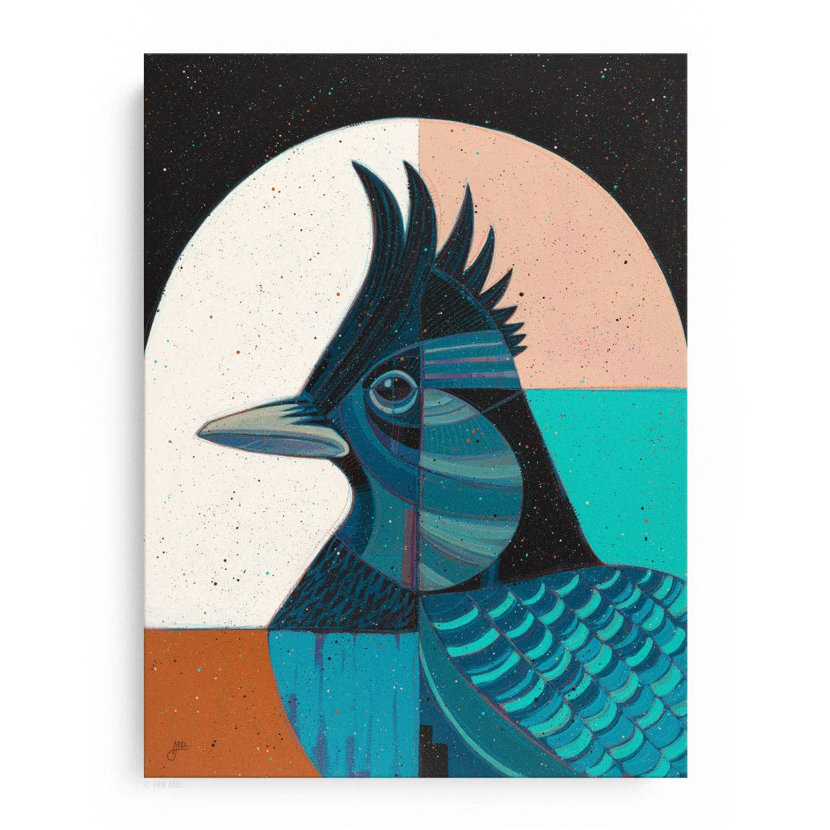 Steller's Jay - WHLSL Print: Unframed / 9x12 / Paper