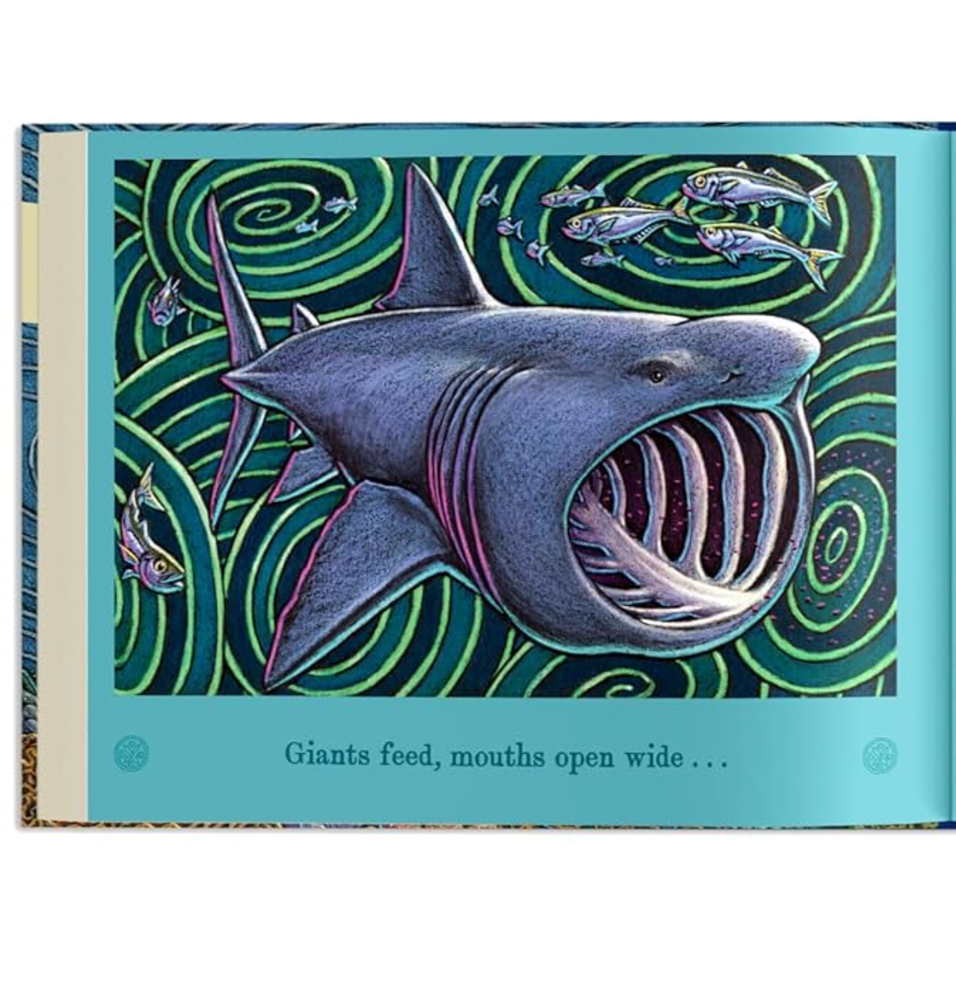 On An Ocean Journey: Animals in Motion through the Seas: Hardcover