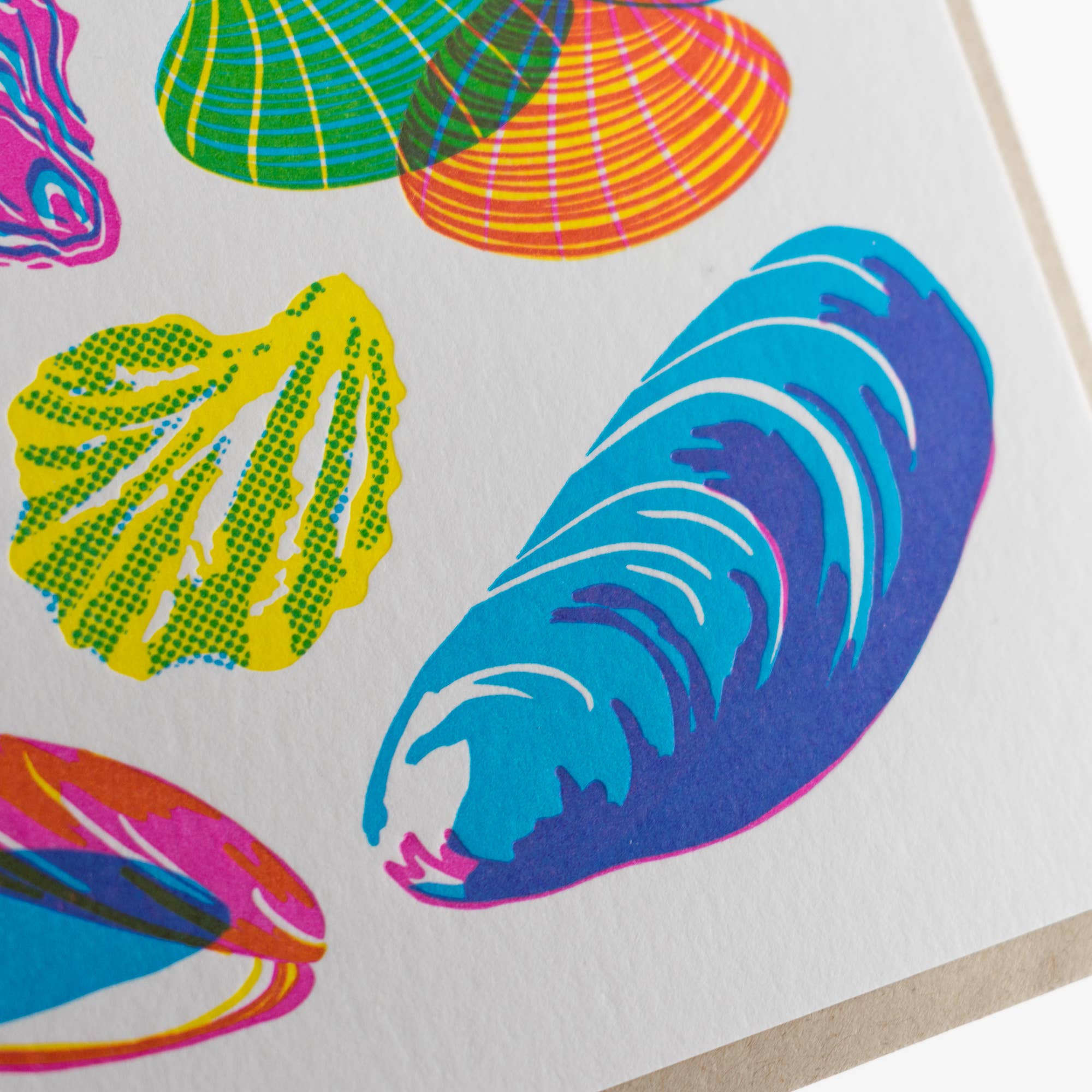 Vibrant Life Series - Molluscs Card: Single Card