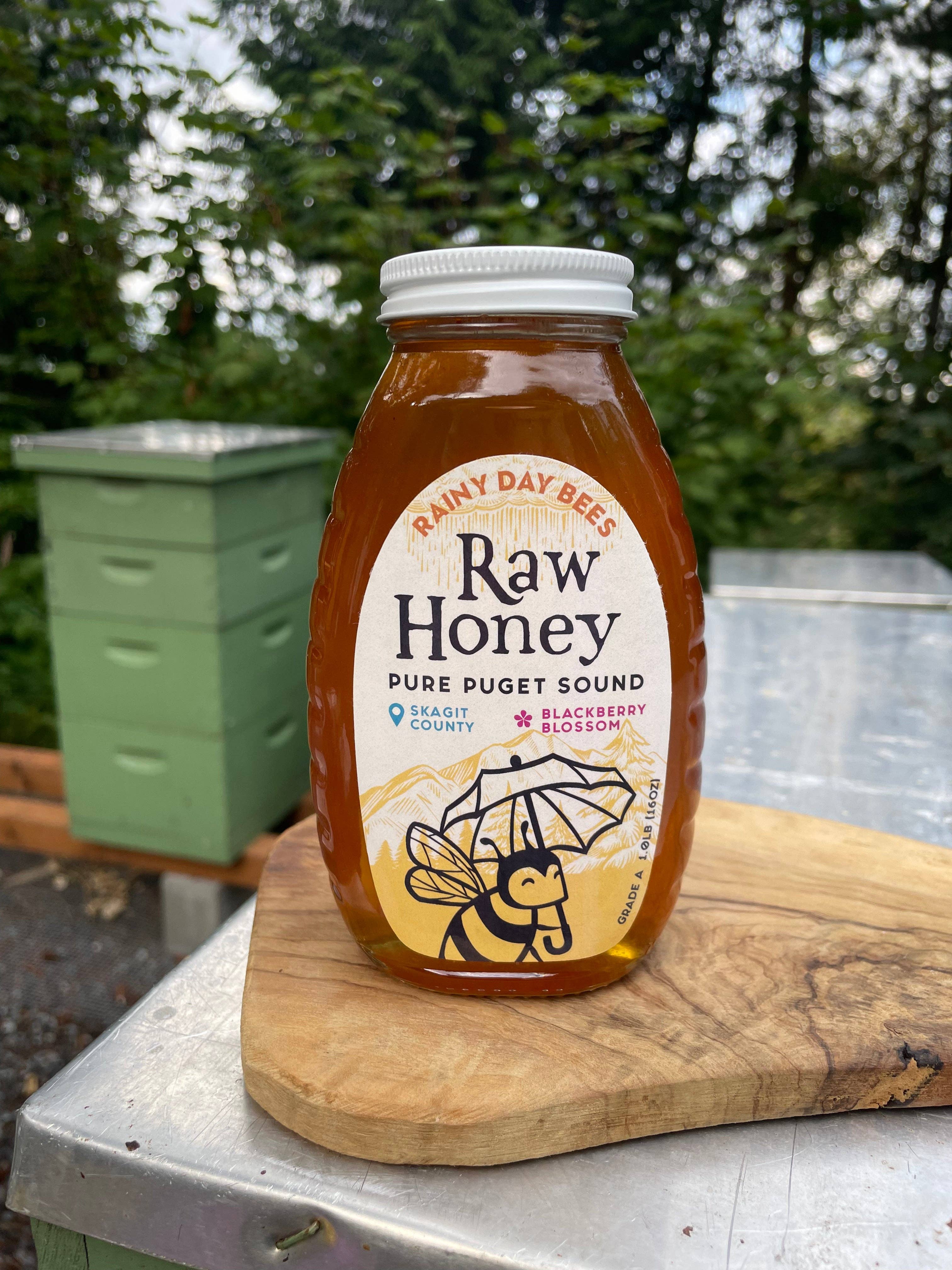 Snohomish County - Pure Puget Sound Honey: 1 lb Glass / Snohomish County Wildflower
