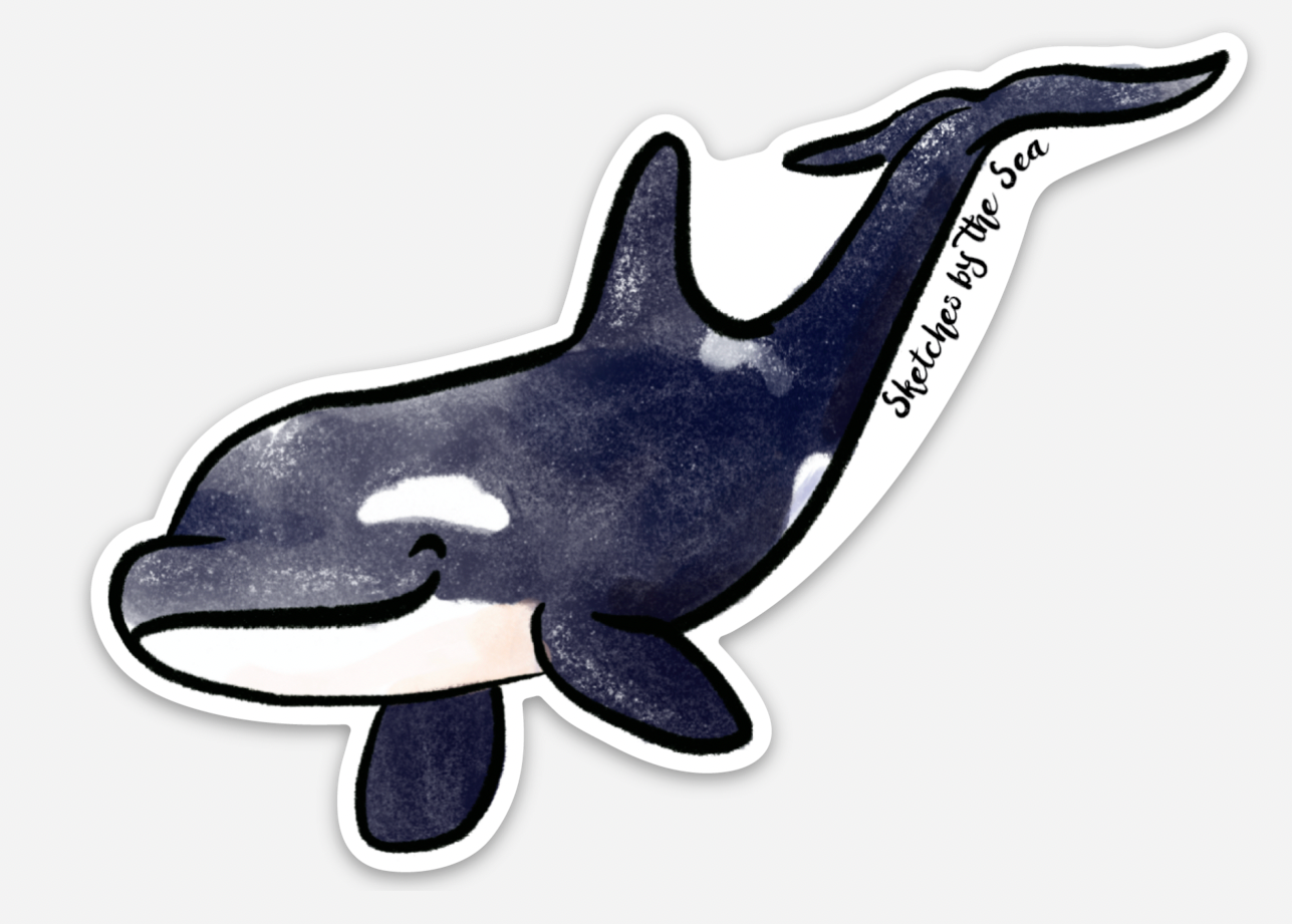 Orca/Killer Whale Sticker