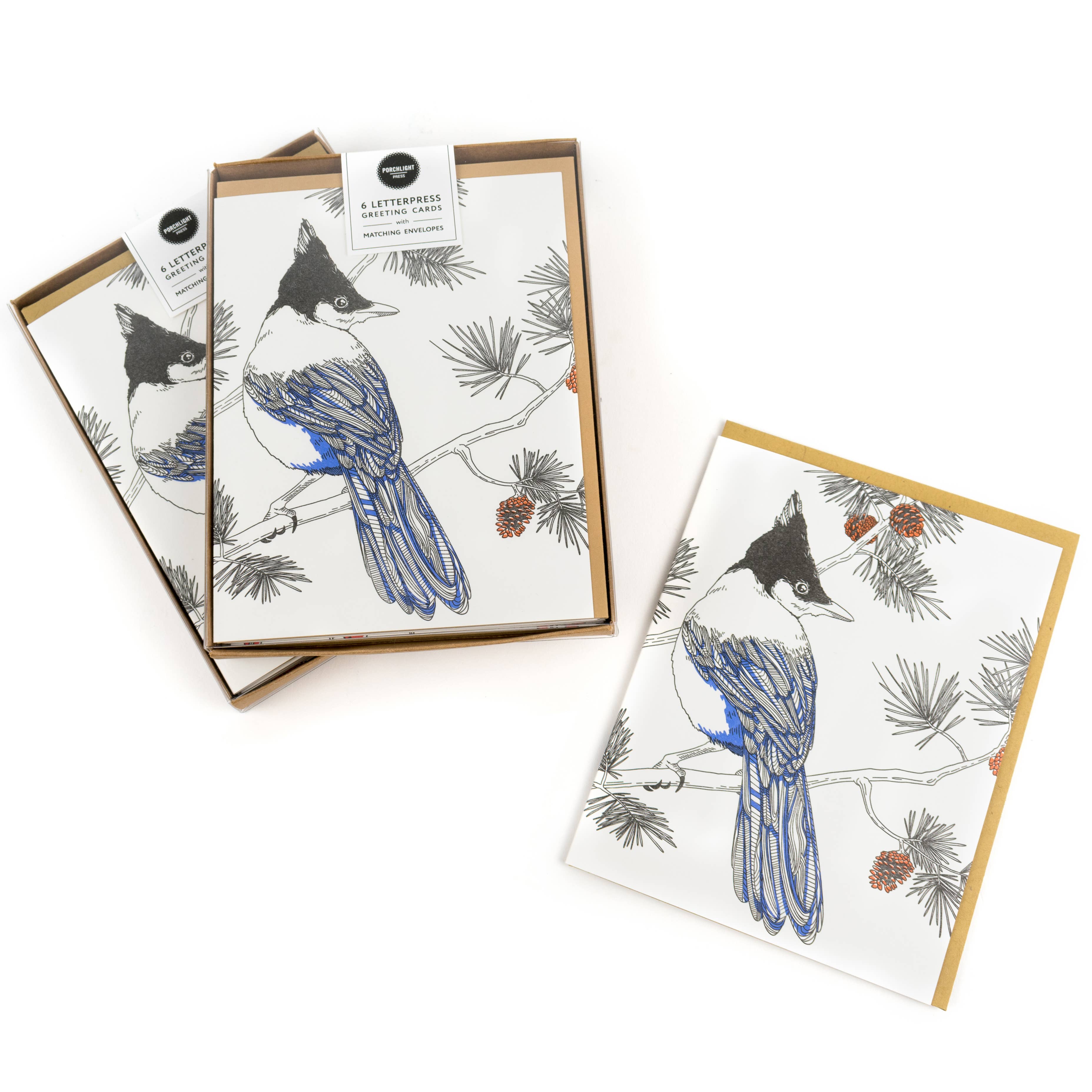 Nature Bird Series_Steller's Jay: Single Card