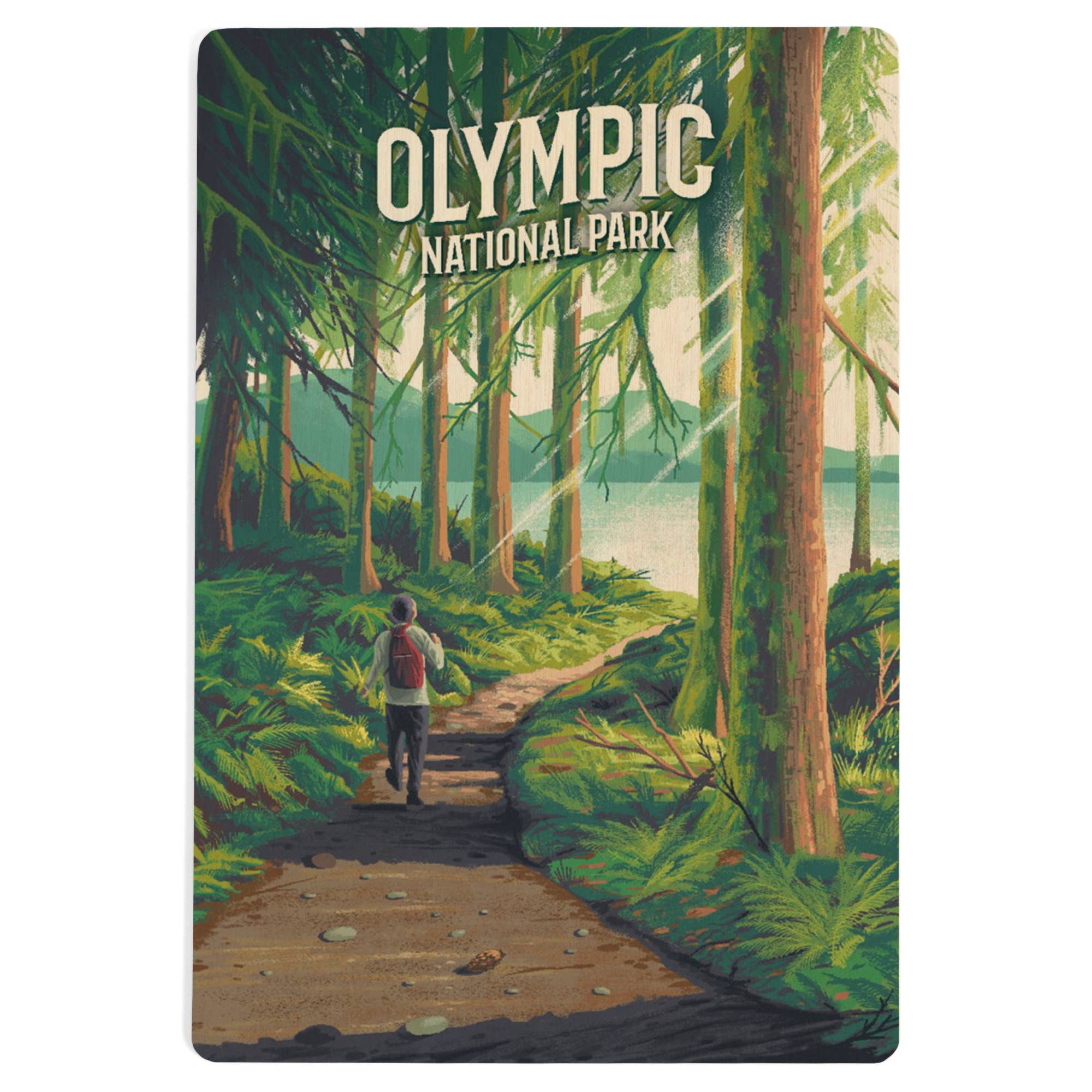 WOOD POSTCARD Olympic National Park, Walk in the Woods