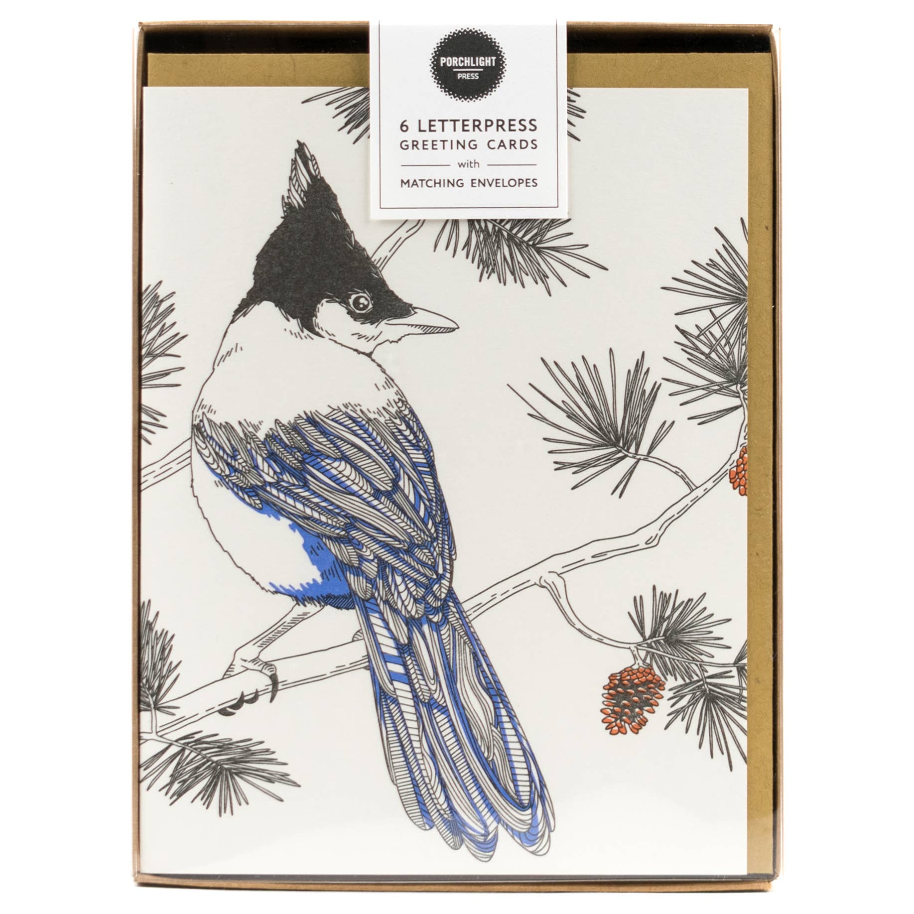 Nature Bird Series_Steller's Jay: Single Card