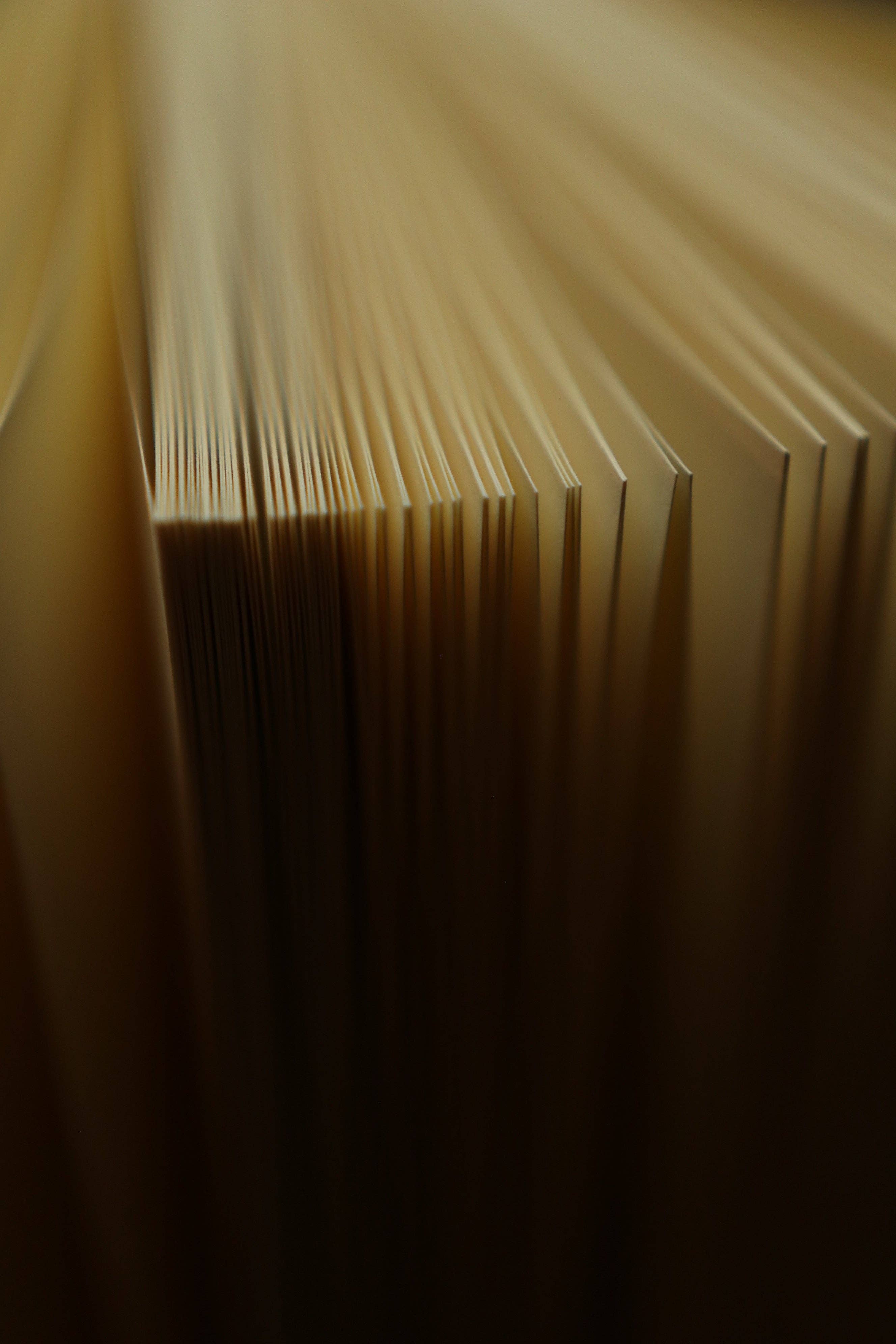 *Winnie-the-Pooh by A. A. Milne & E. H. Shepard 1926 Book Journal