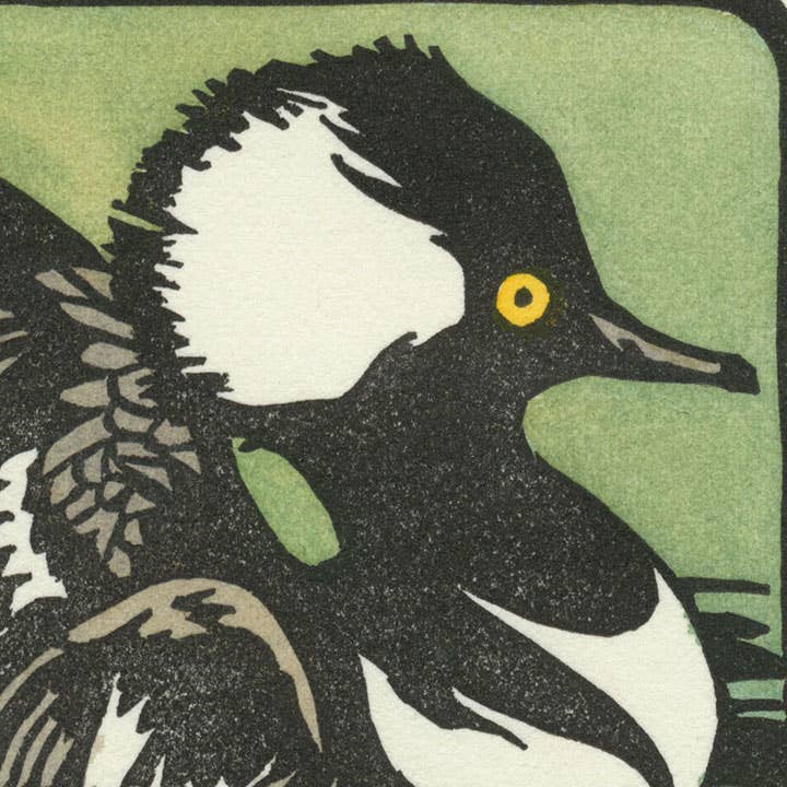 Hooded Merganser Card: Individual
