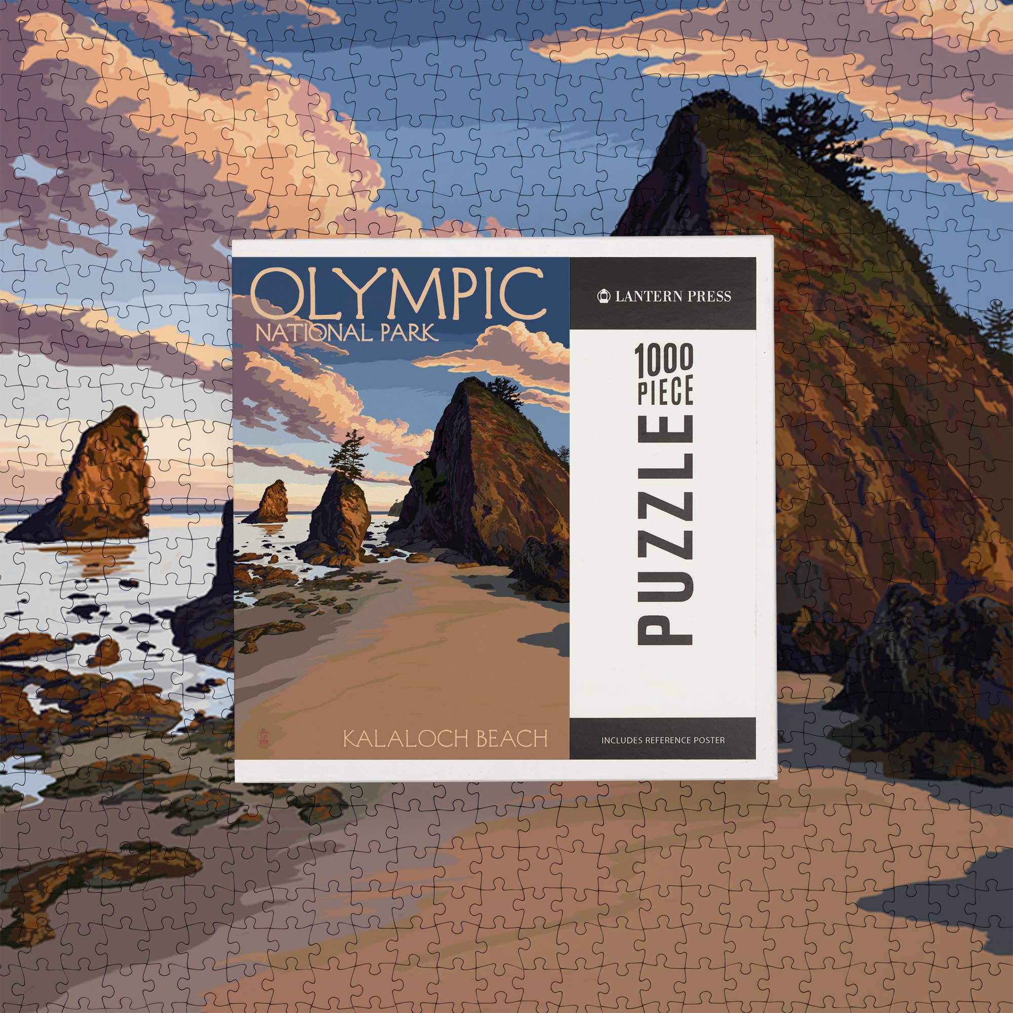 1000 PIECE PUZZLE Olympic National Park Kalaloch Beach