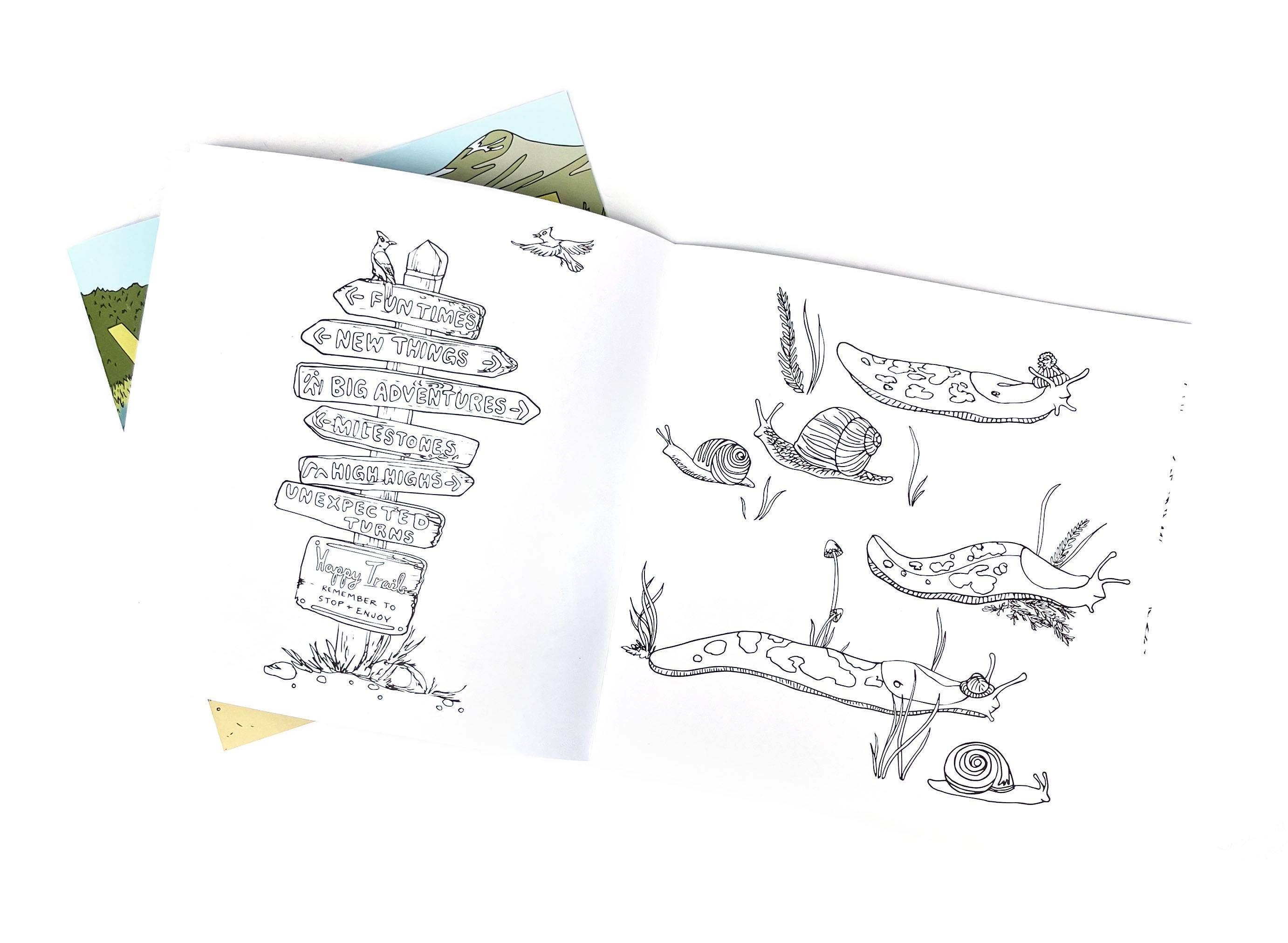 Wild Life Camp Colouring Book