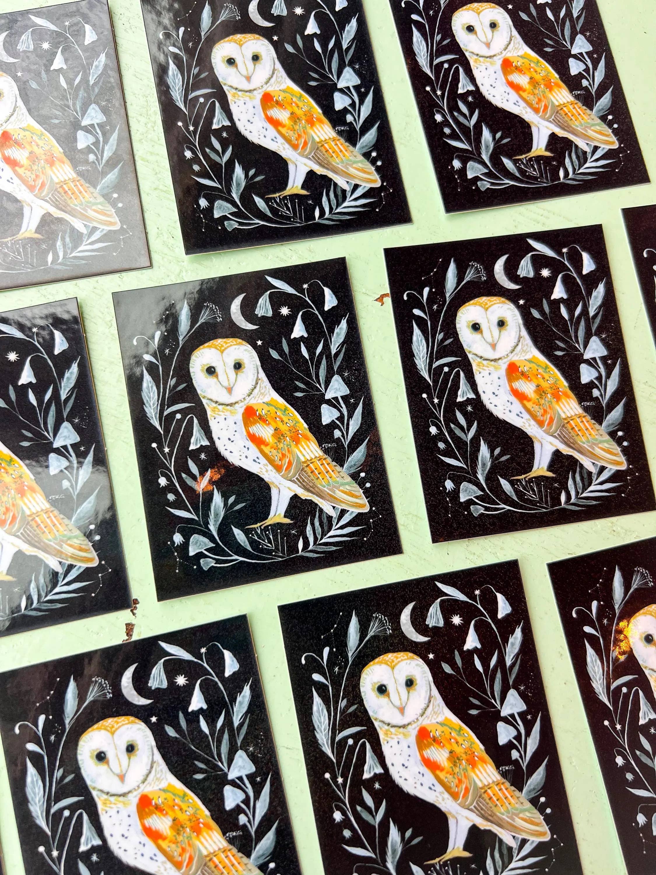 Barn Owl Sticker - glossy