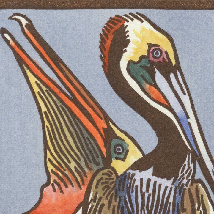 Brown Pelican Card: Individual