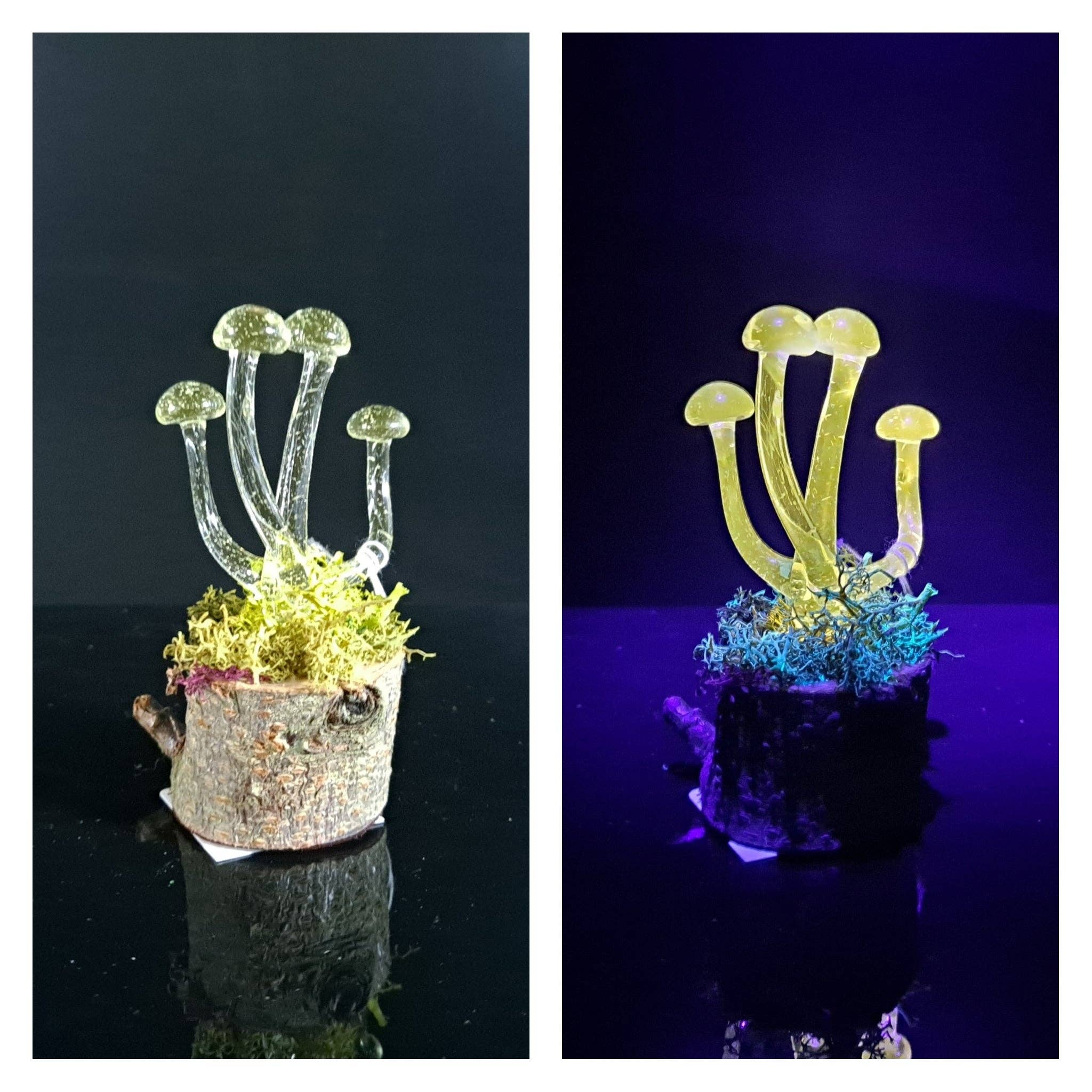Mushroom Sculpture, UV Black Light, Made to Order: Atomic stardust