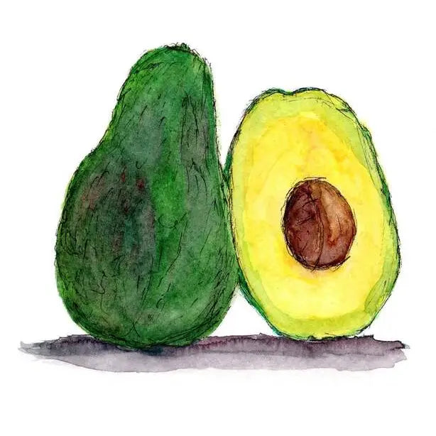 Avocado Greeting Card