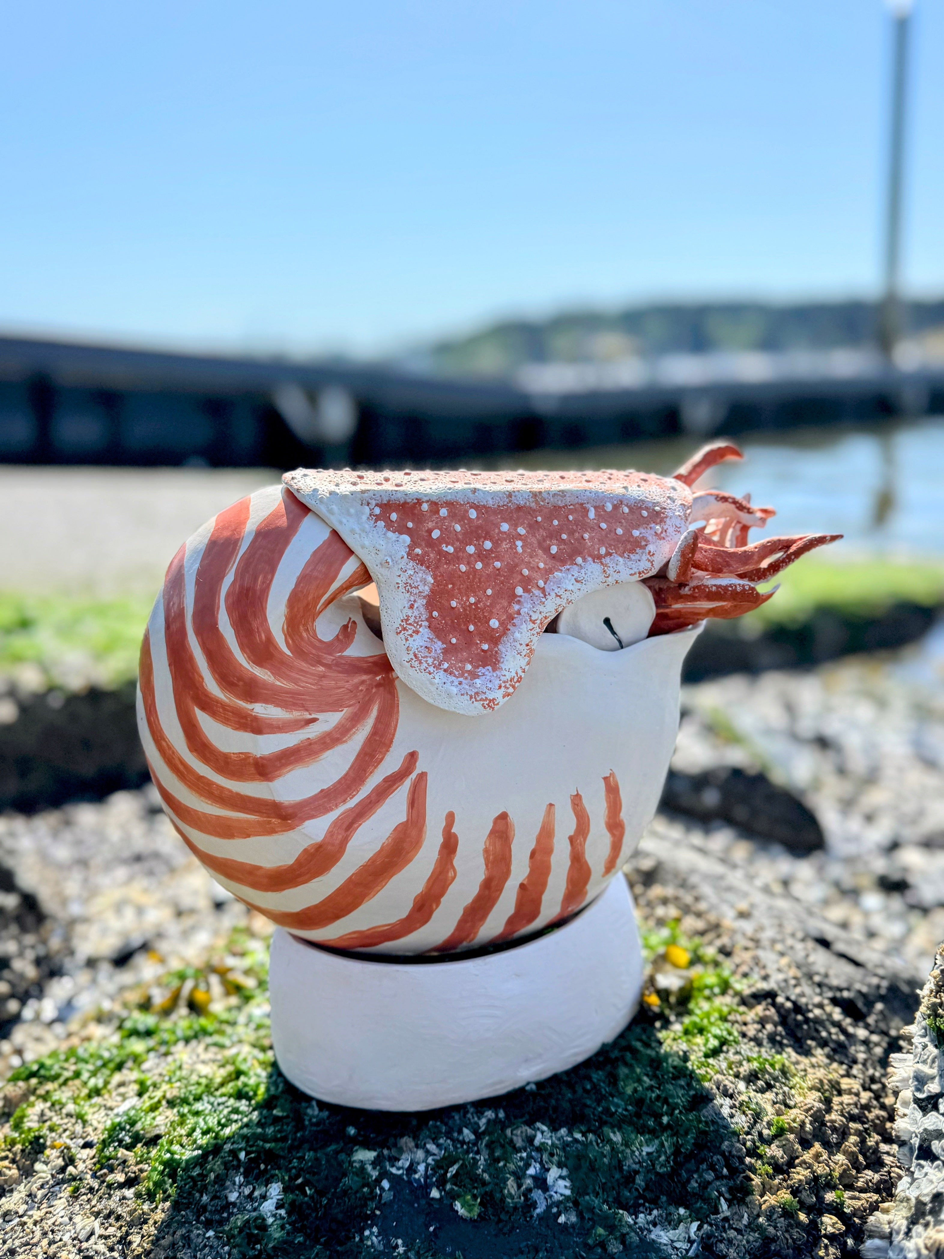 Nautilus
