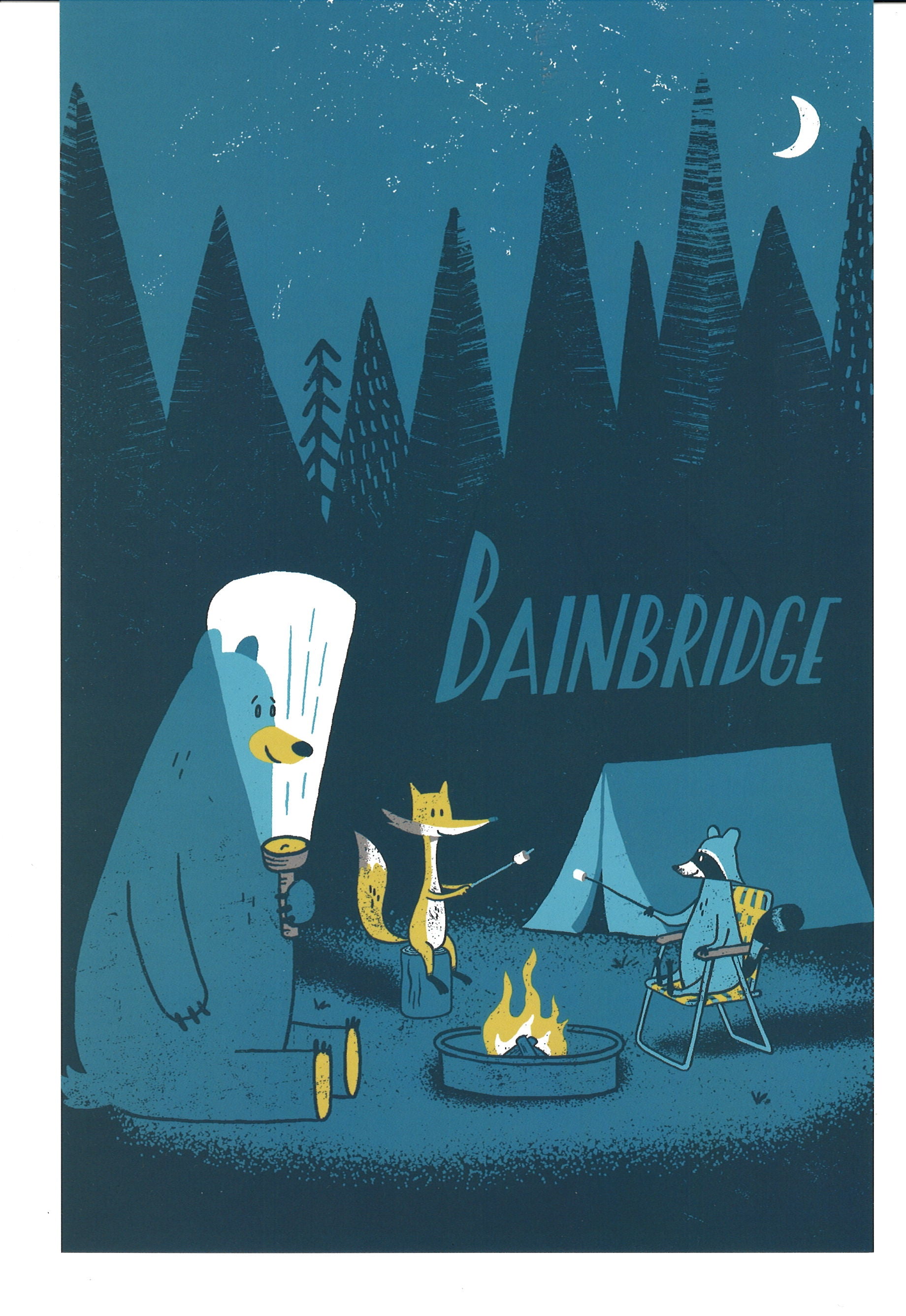 Bainbridge Island Camping Postcard