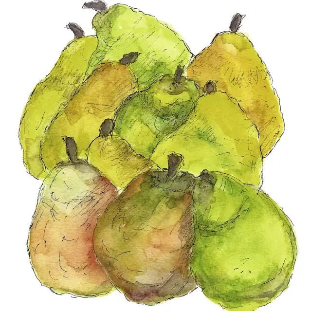 Bartlett Pears Greeting Card