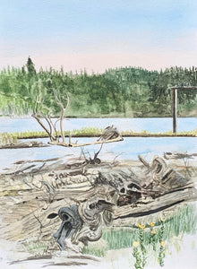 Battle Point Lagoon | M. Pontieri