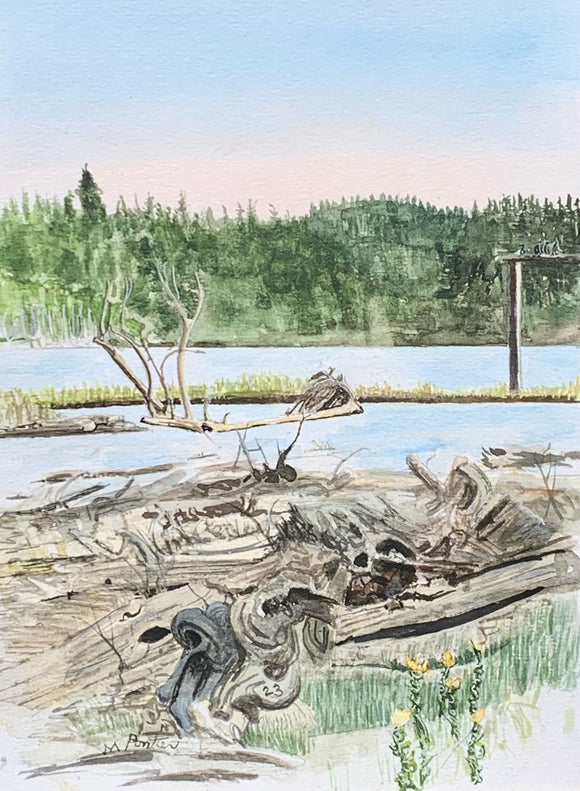 Battle Point Lagoon | M. Pontieri
