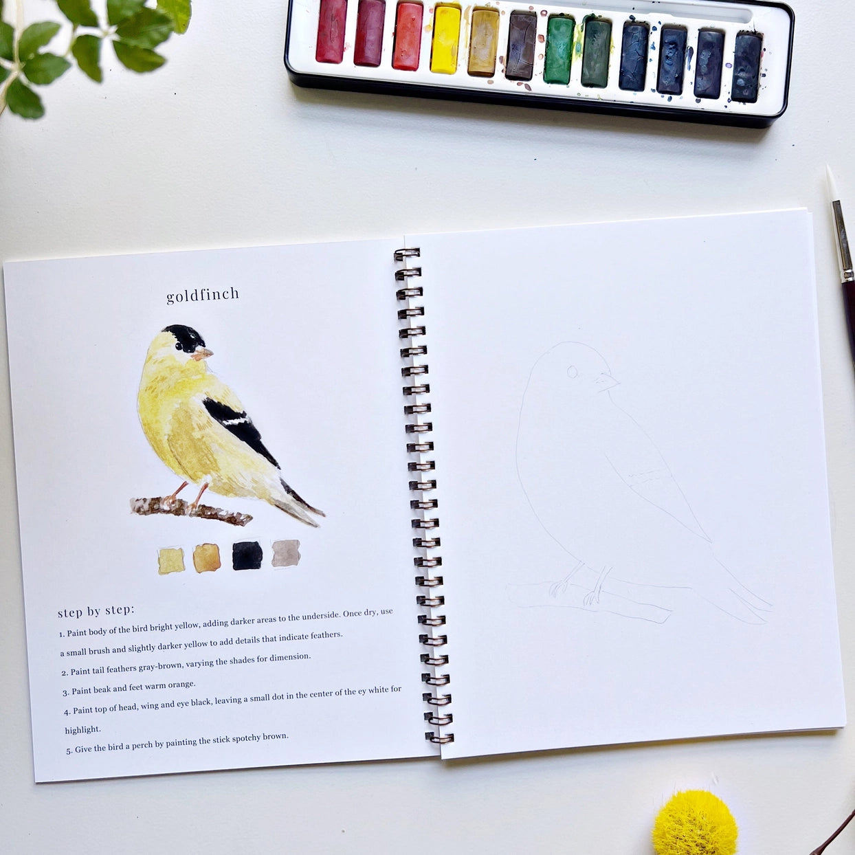 Birds Watercolor Workbook – Millstream Bainbridge