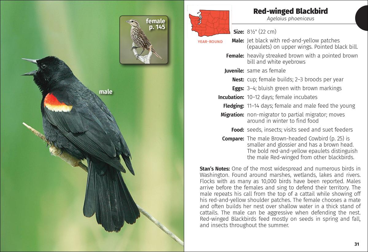 Birds of Washington Field Guide (2nd Edition)