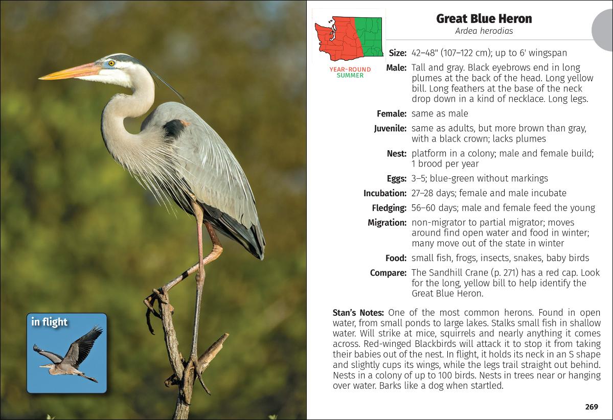 Birds of Washington Field Guide (2nd Edition)
