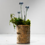 Miniature Mushroom Glass Sculptures