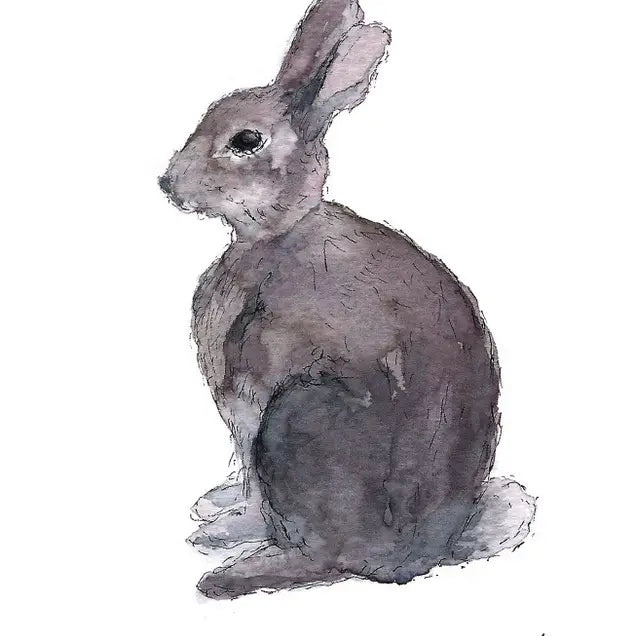 Bunny Greeting Card