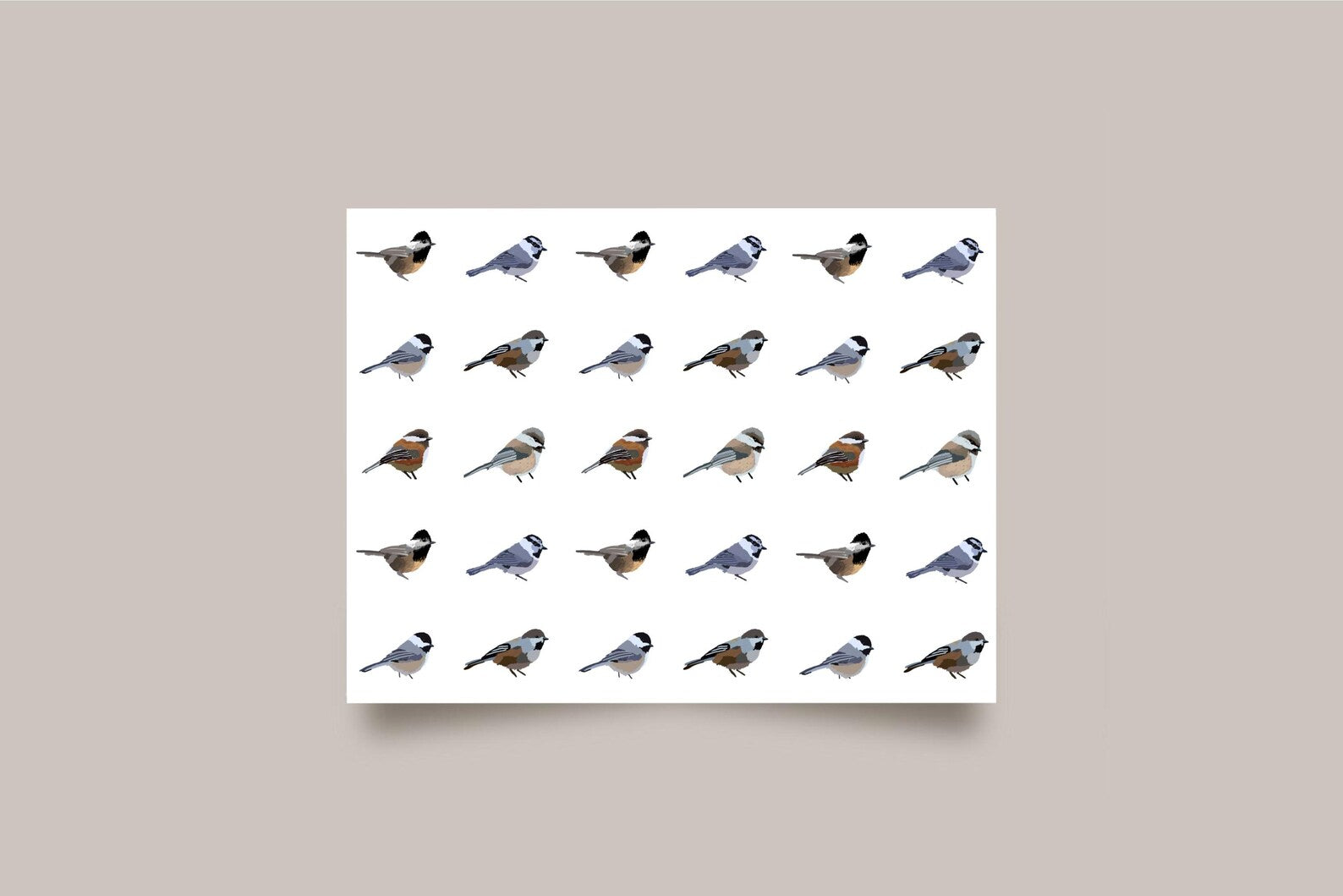 Chickadee Assortment Card