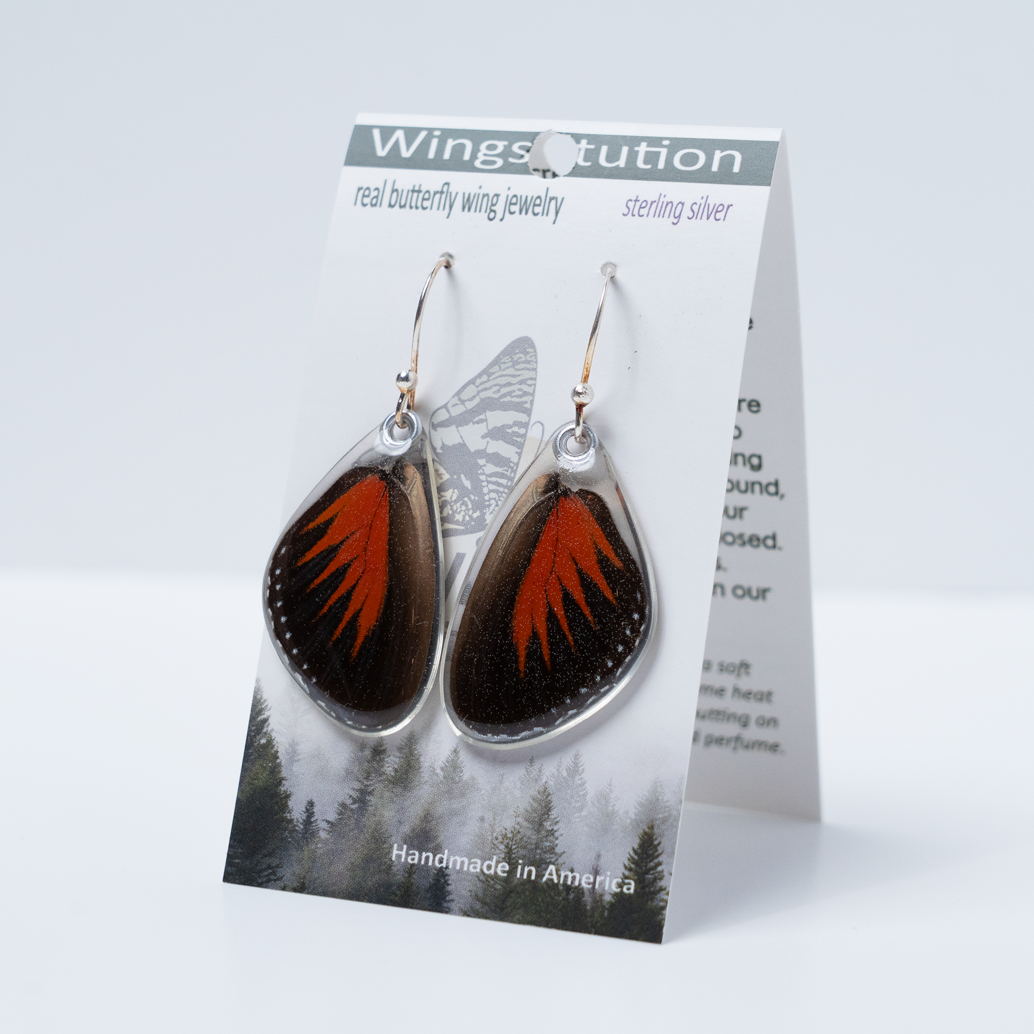 Heliconius Doris Longwing Butterfly Earrings