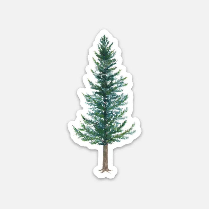Douglas Fir Vinyl Sticker - Evergreen Tree Sticker