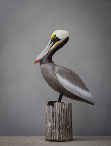 Pelican on Post 17” Hand Painted Decoy