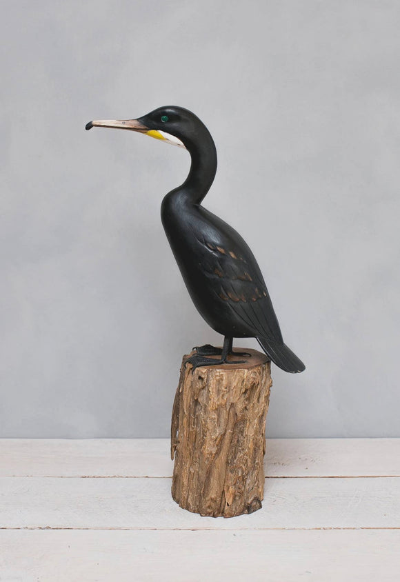 Cormorant - High - 23