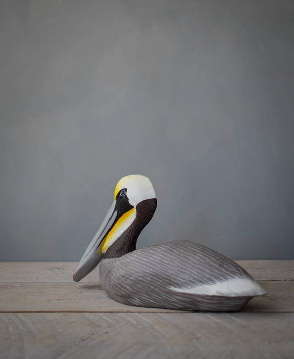 Pelican - Brown - Medium - Sitting - 12