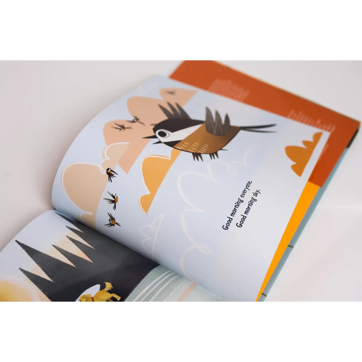 Good Morning, Mother Nature (Hardcover)
