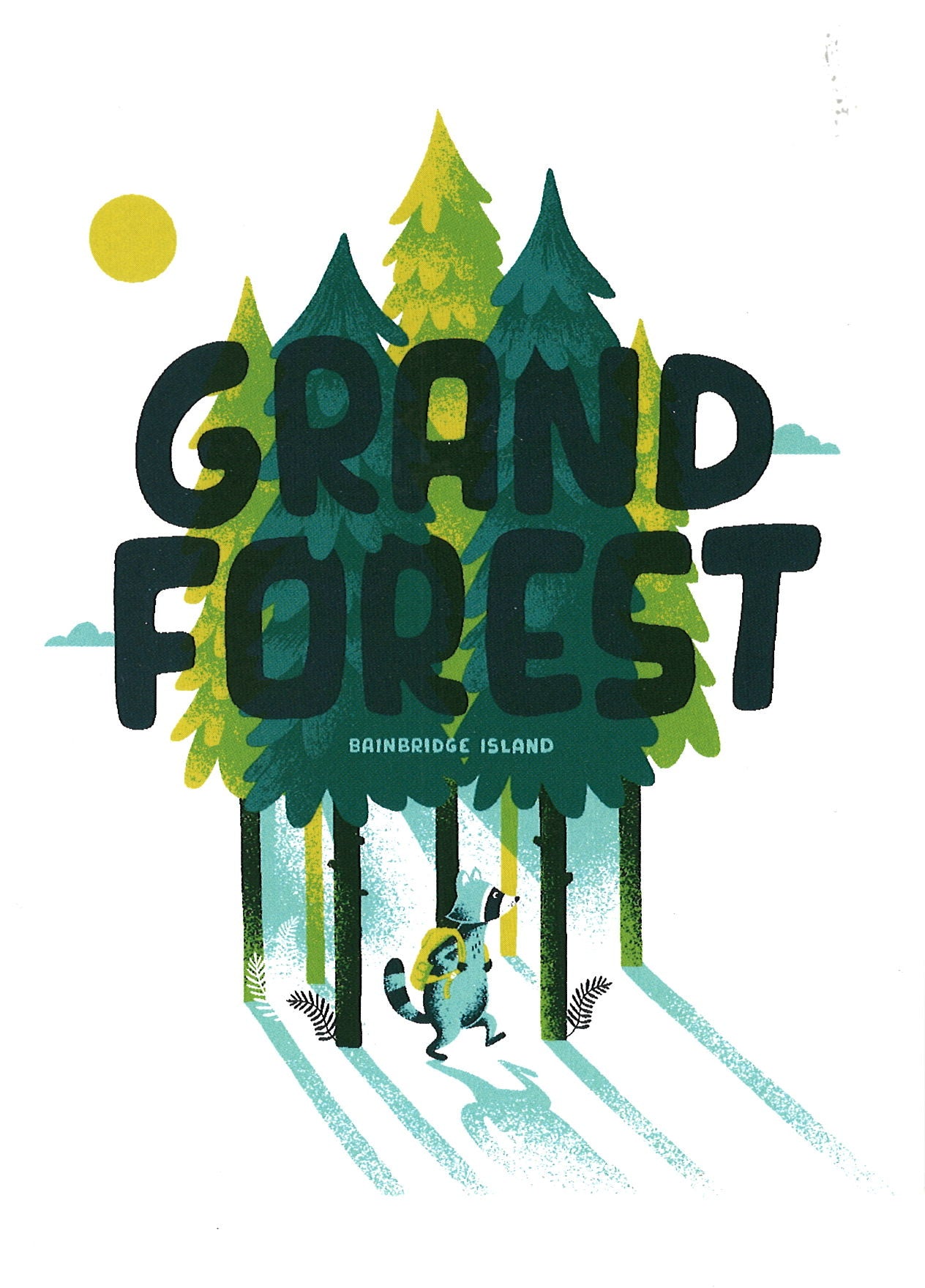 Bainbridge Island Grand Forest Raccoon Postcard