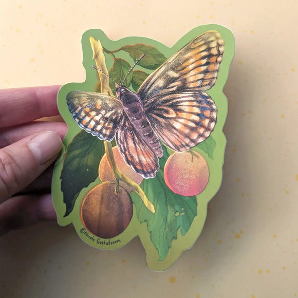 Hackberry Butterfly Sticker