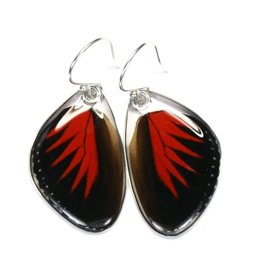 Heliconius Doris Longwing Butterfly Earrings