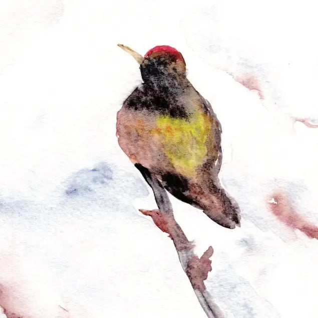 Hummingbird Greeting Card