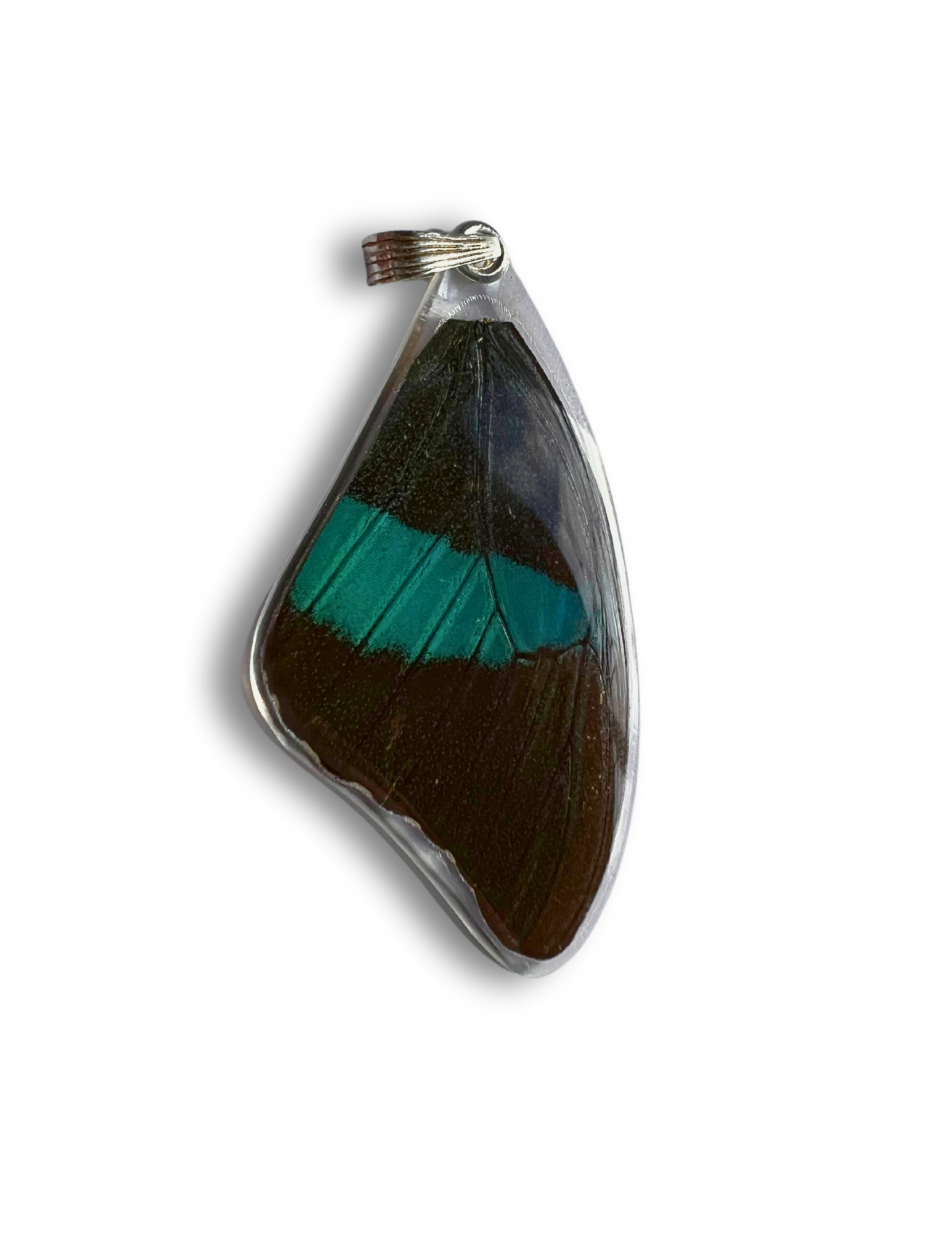 Mint Morpho Catenarius Butterfly Pendant