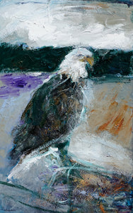 "Bald Eagle Intensity" - Christopher Mathie Fine Art
