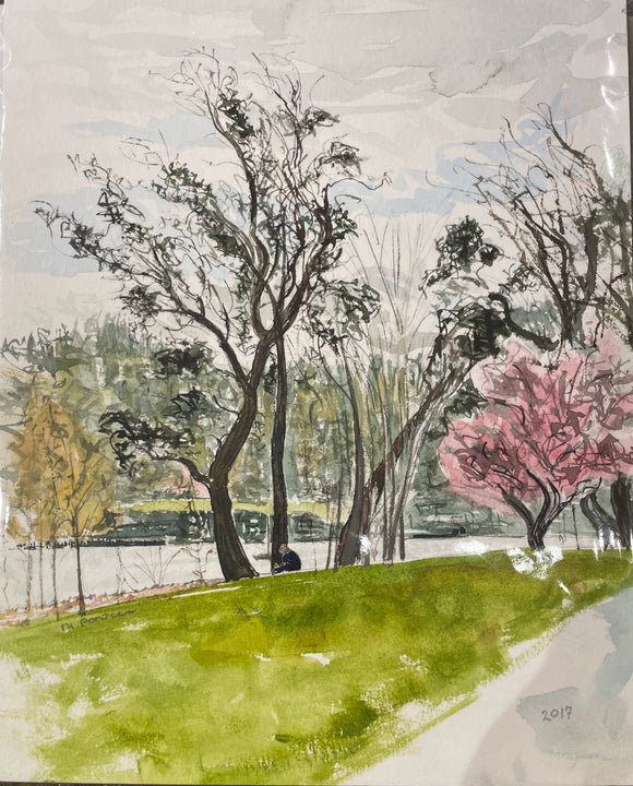 Water Front Park 2017 | Pontieri