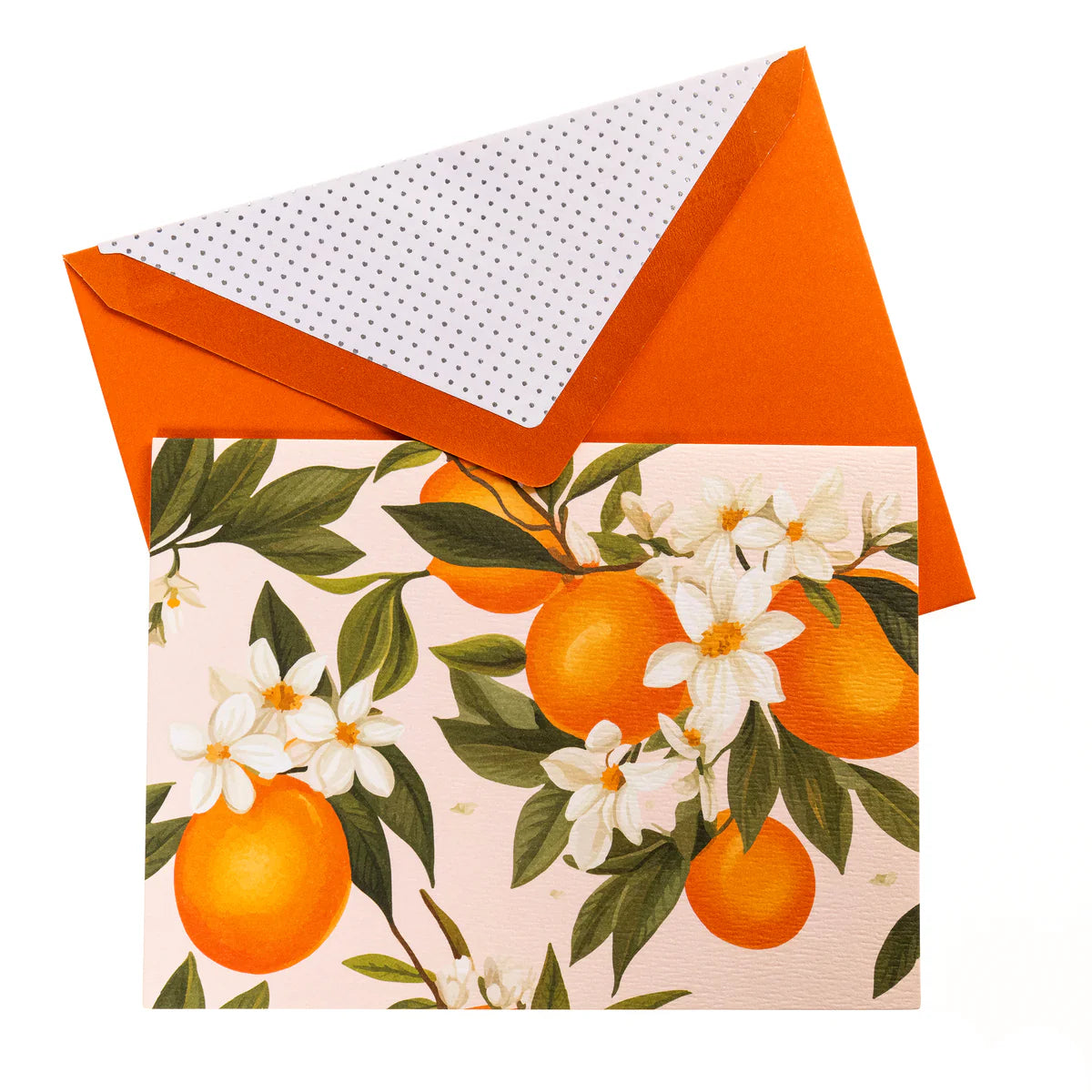 L'orange La Petite Presse Luxe Boxed Cards